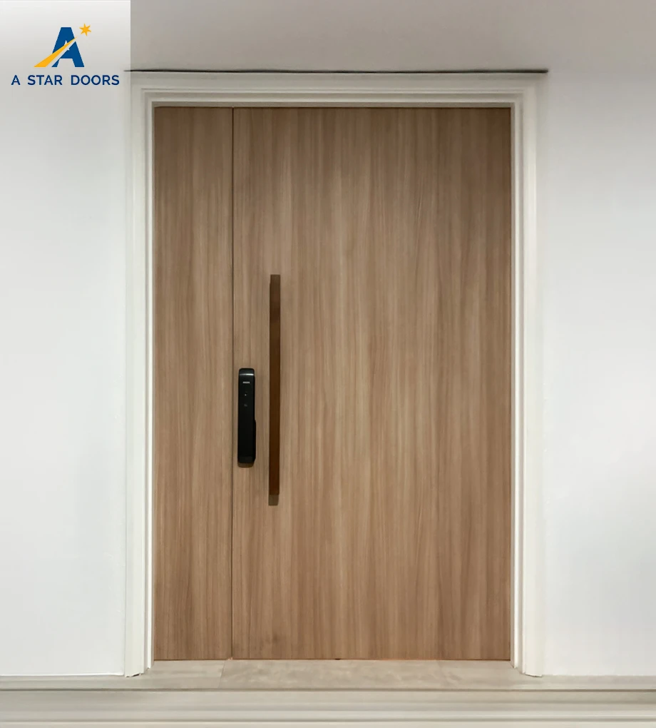 Condo Landed Main Door -01