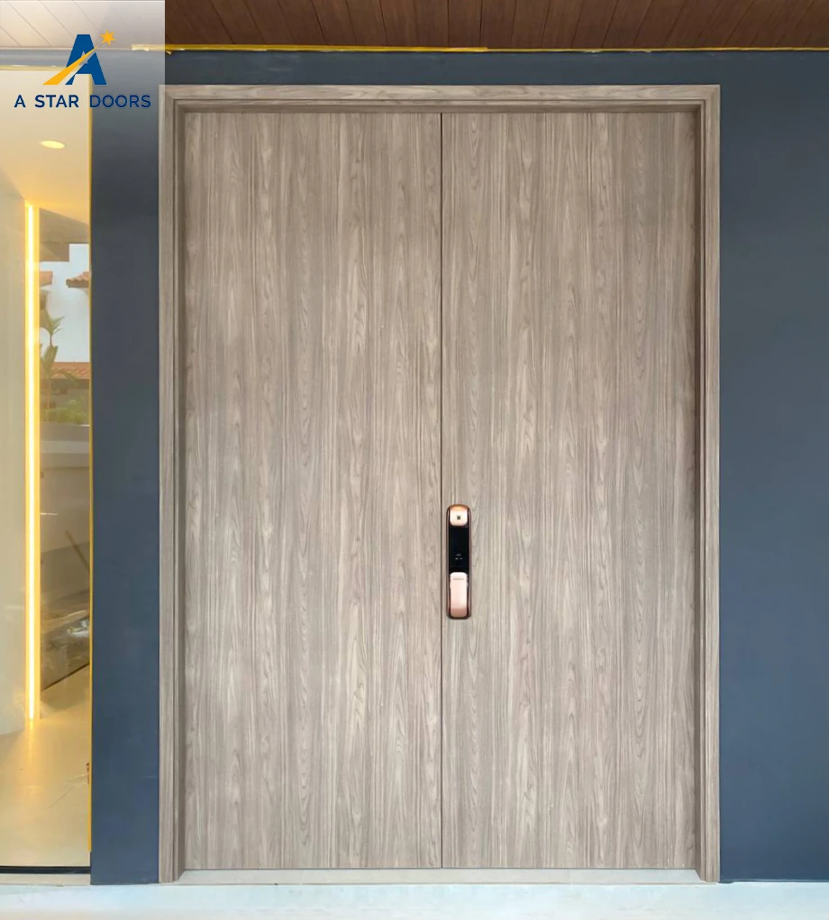 Condo Landed Main Door -02