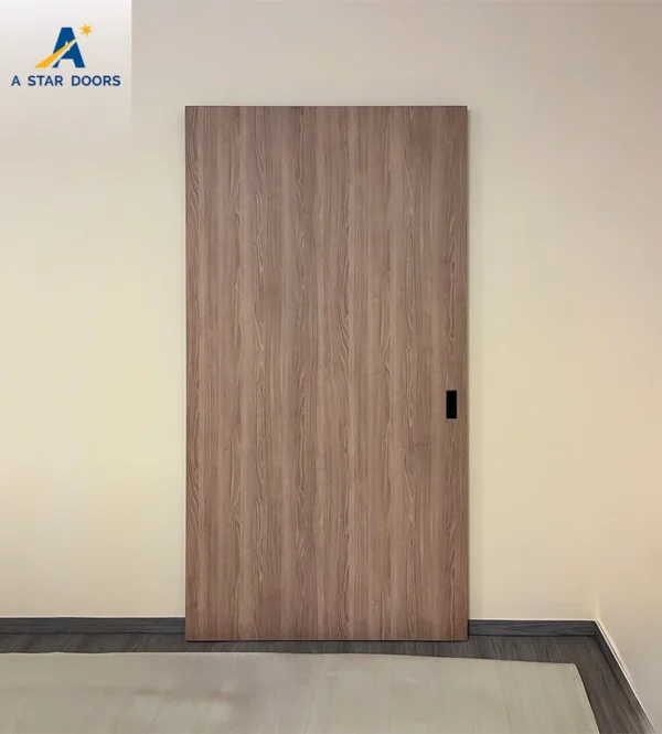Ghost track Sliding Door 01