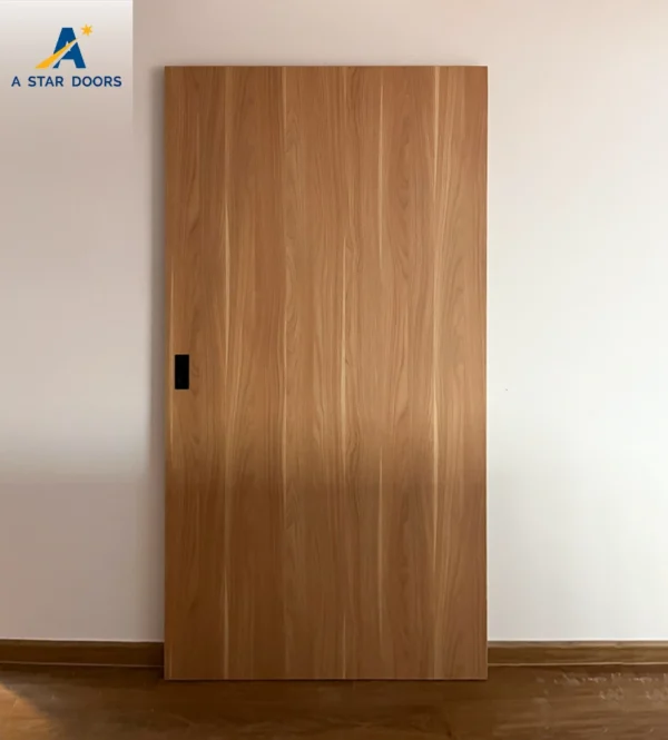 Ghost track Sliding Door 02