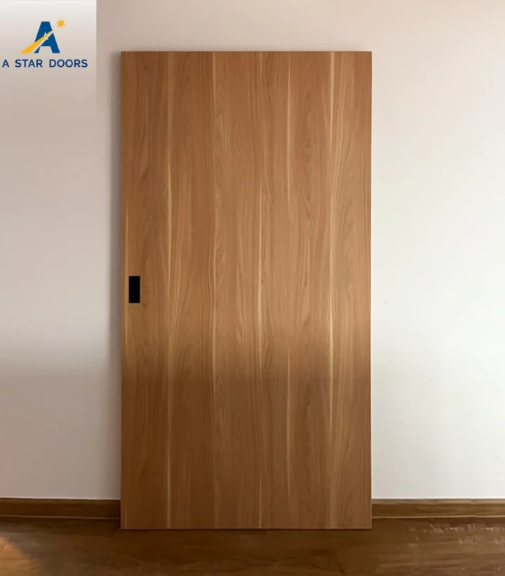 Ghost Track Sliding Door - GTSD-02