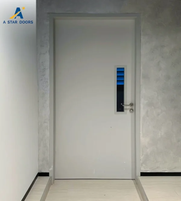 Metal Security Door